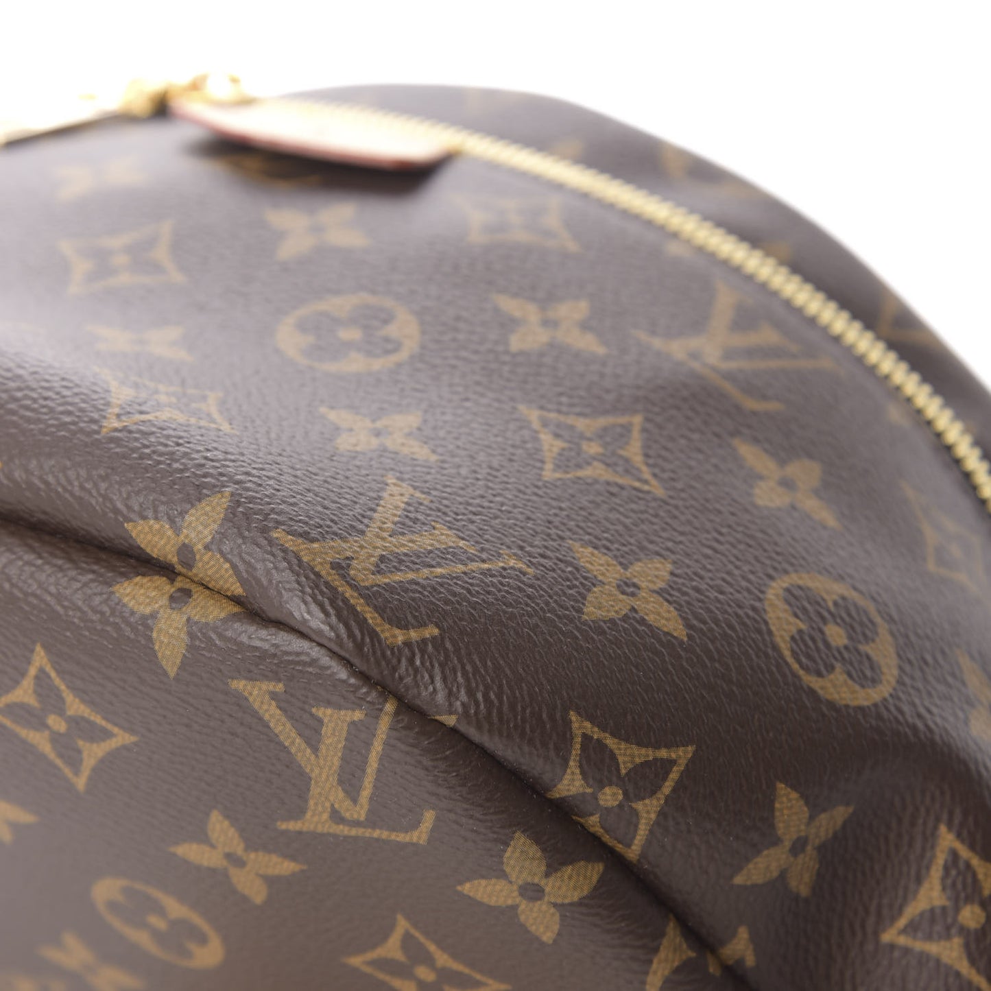 Monogram Bumbag