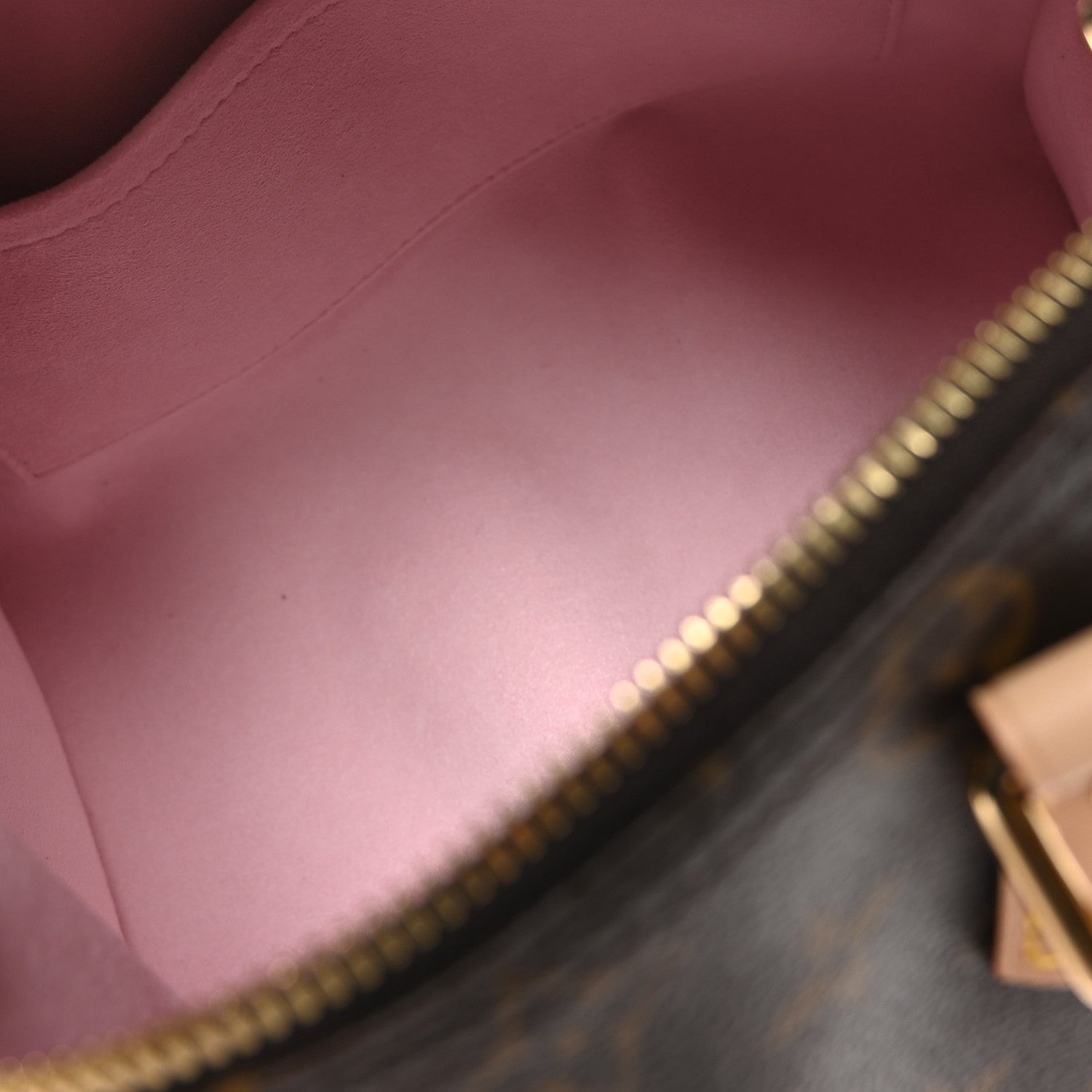 Louis Vuitton LV X TM Monogram Cherry Blossom Speedy Bandouliere 25 Sakura Brown 5 of 10