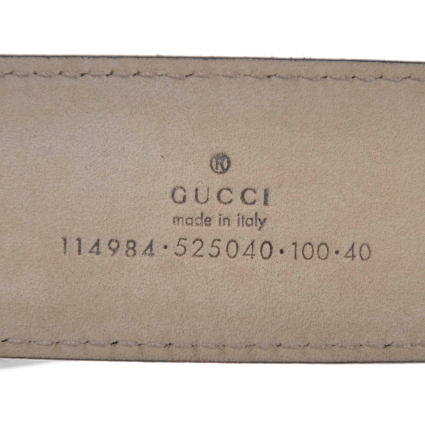 Leather Web Interlocking G Belt 100 40