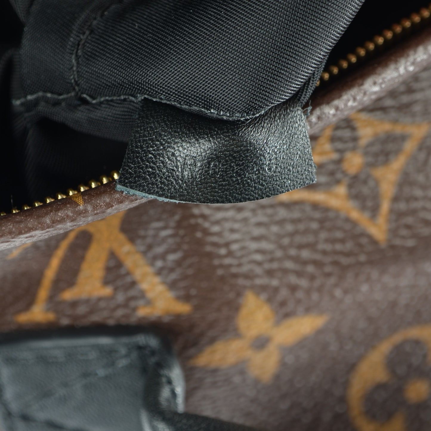 Monogram Palm Springs Backpack Mini