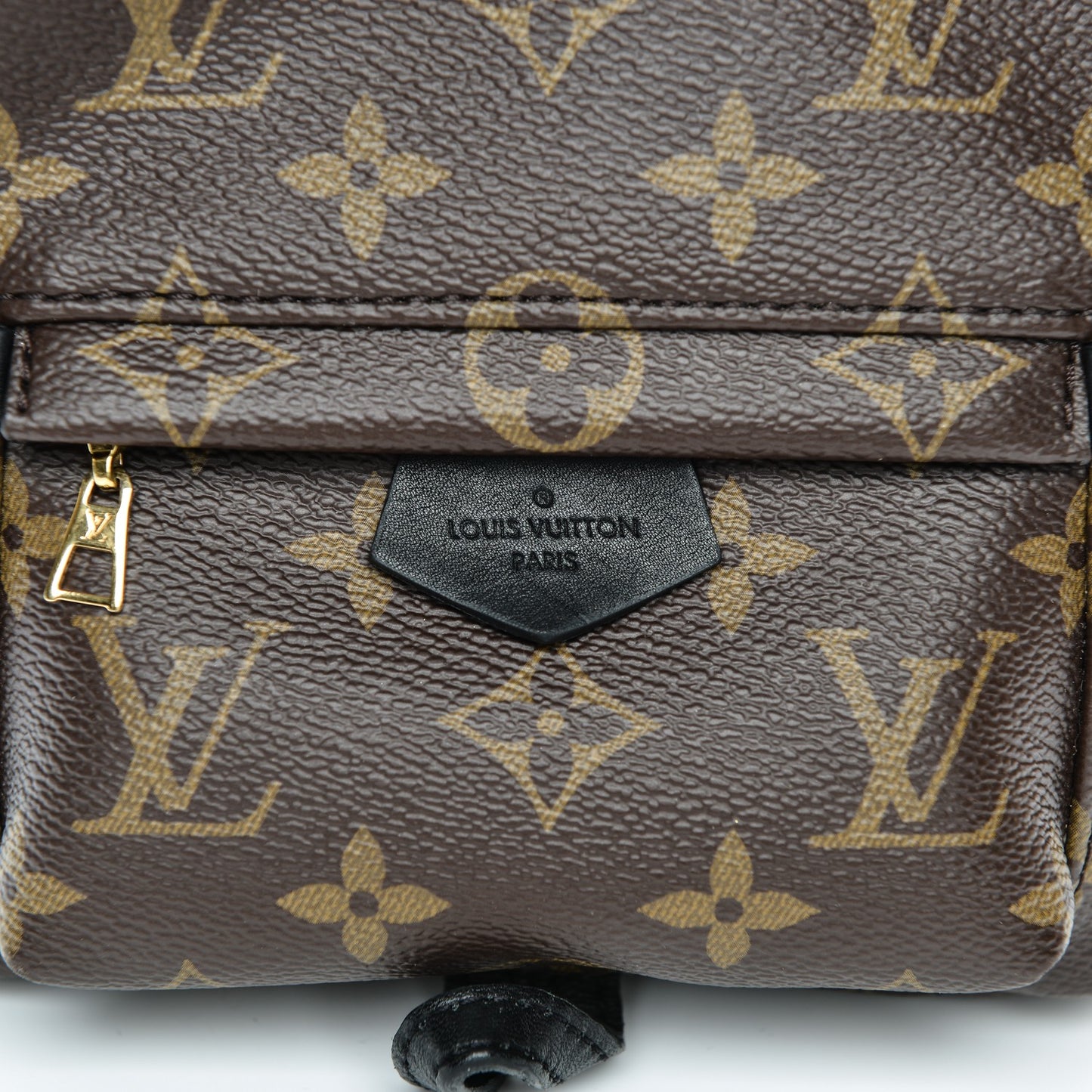 Monogram Palm Springs Backpack Mini