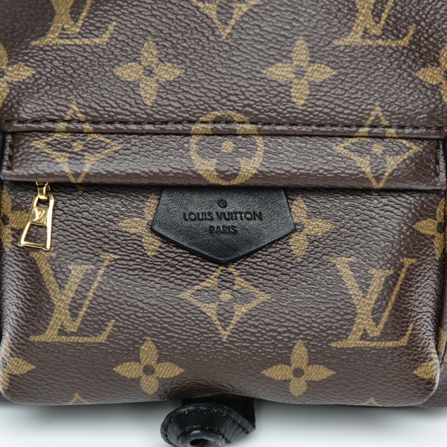 Louis Vuitton Monogram Palm Springs Backpack Mini 7 of 12