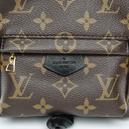 Louis Vuitton Monogram Palm Springs Backpack Mini 7 of 12