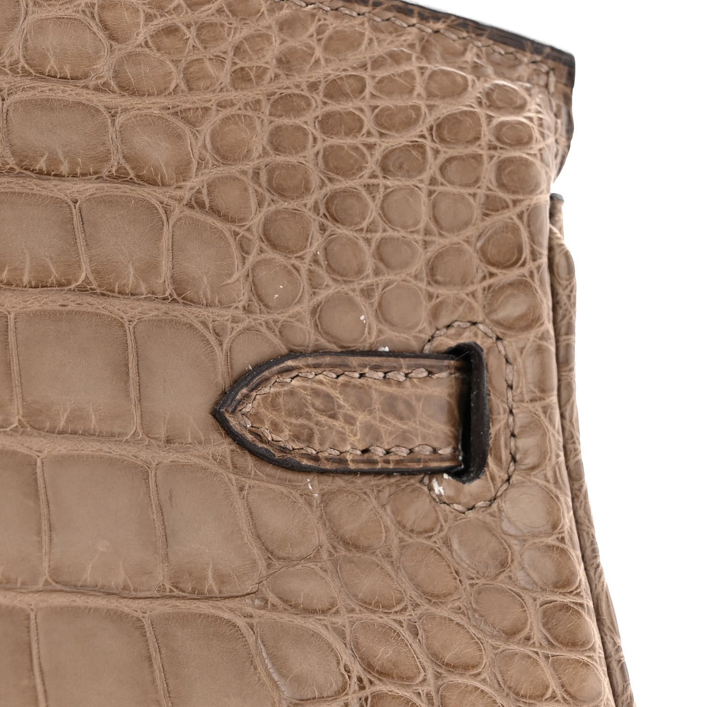 Matte Alligator Birkin 25 Origan