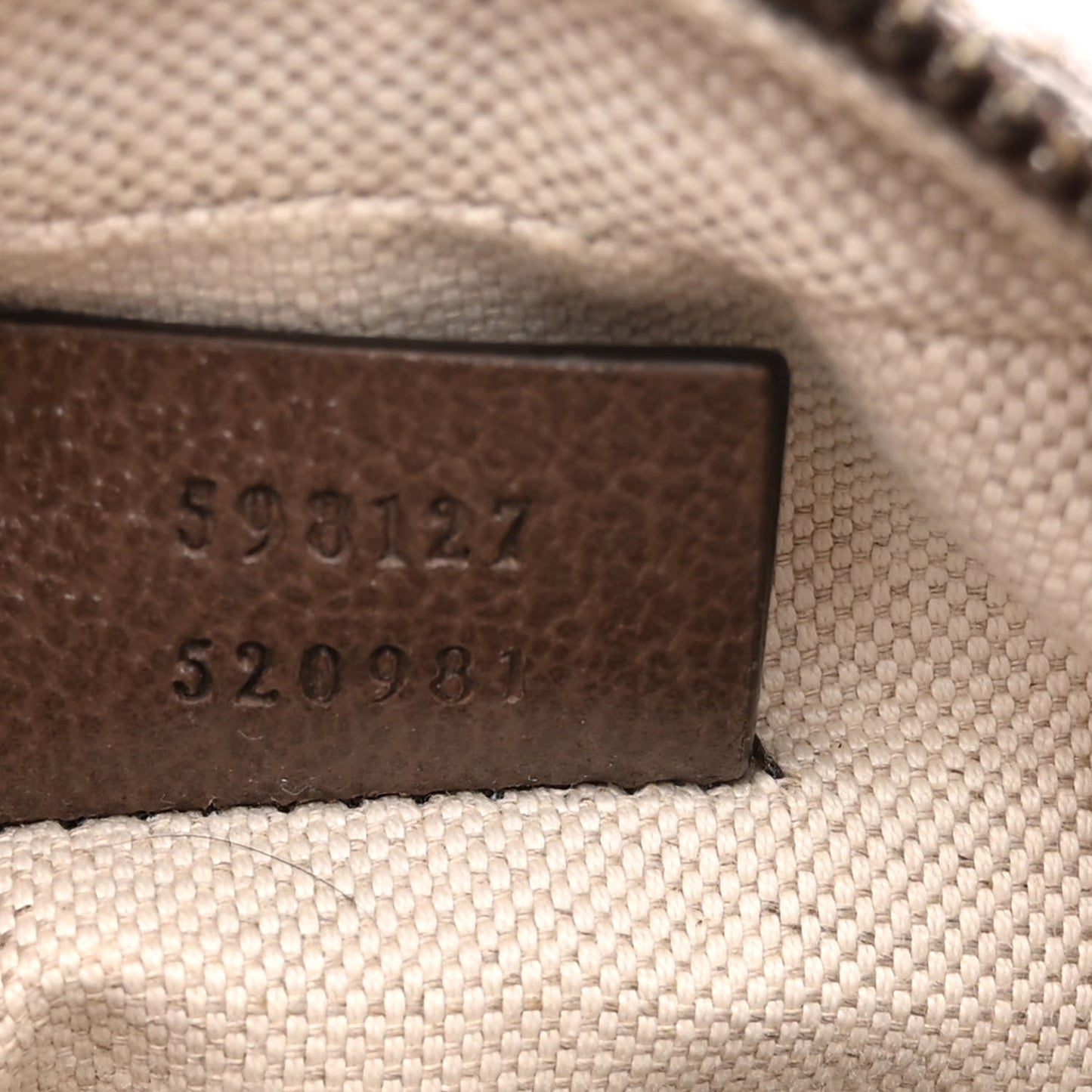 GG Supreme Monogram Web Mini Ophidia Messenger Brown