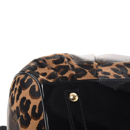 Louis Vuitton Monogram Leopard Stephen Bag 10 of 12