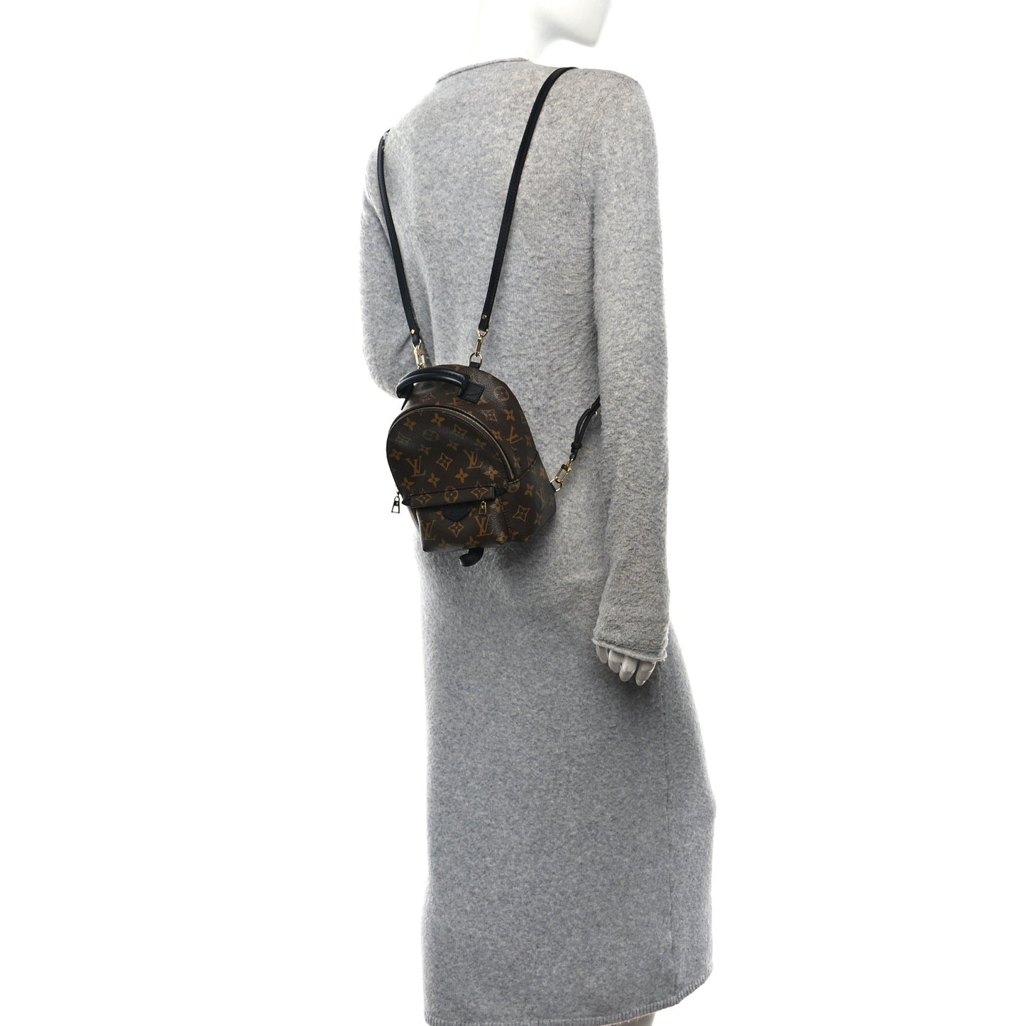 Monogram Palm Springs Backpack Mini