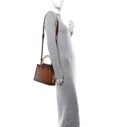 Louis Vuitton Calfskin Resin Capucines BB Smoked Tan 2 of 10