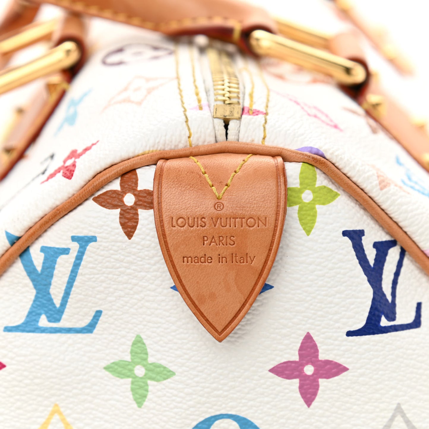 Monogram Multicolor Speedy 30 White
