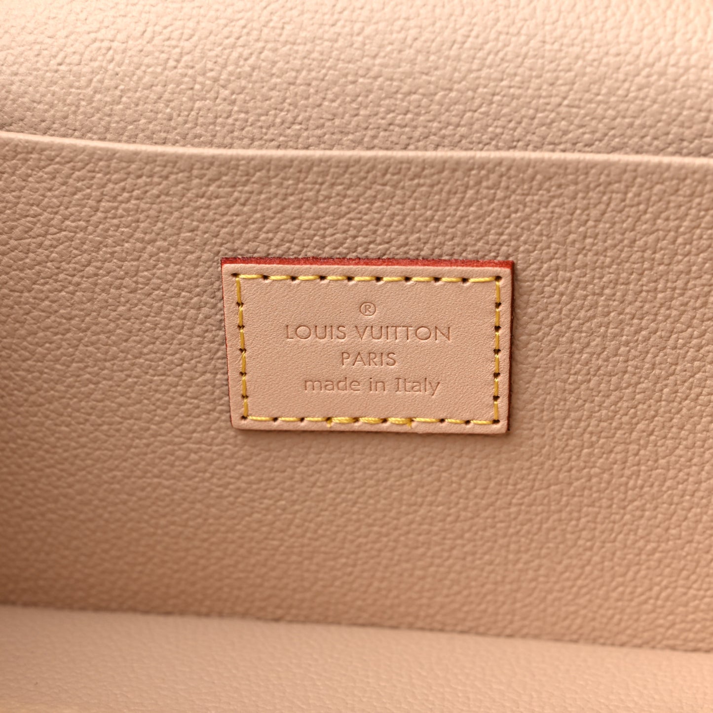 Monogram Nice Mini