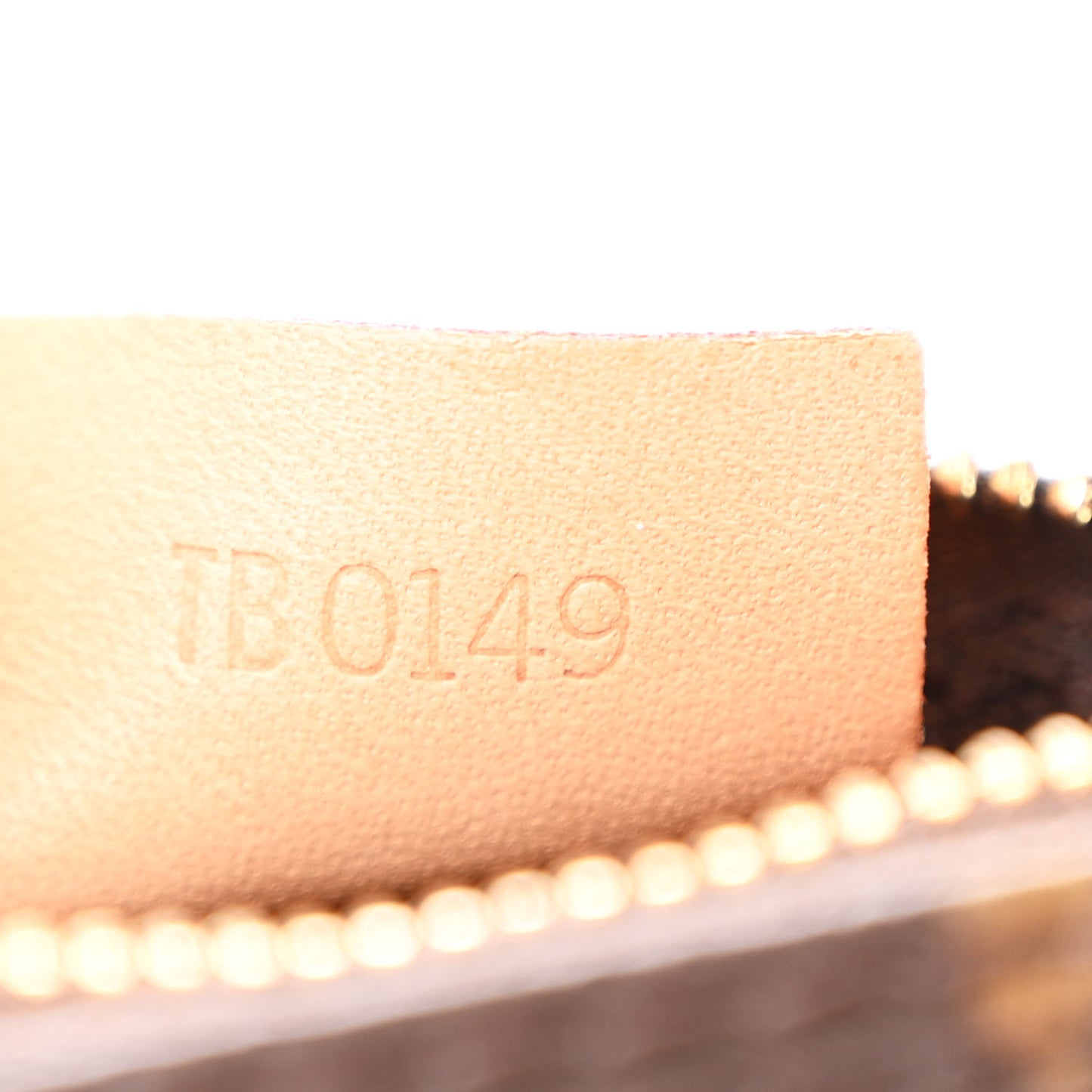 Monogram Nano Speedy