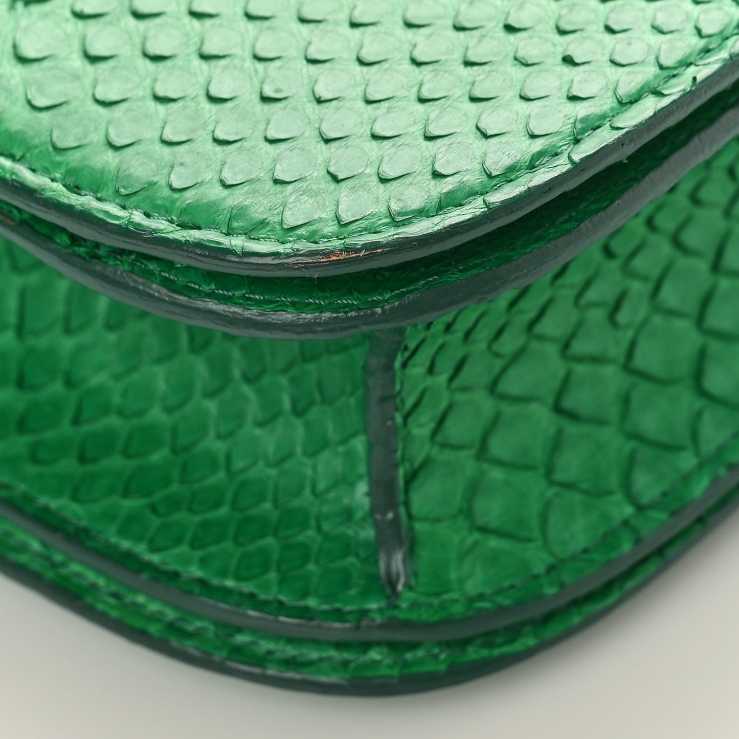 Snakeskin Medium Classic Box Green