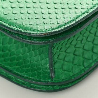 Celine Snakeskin Medium Classic Box Green 7 of 9
