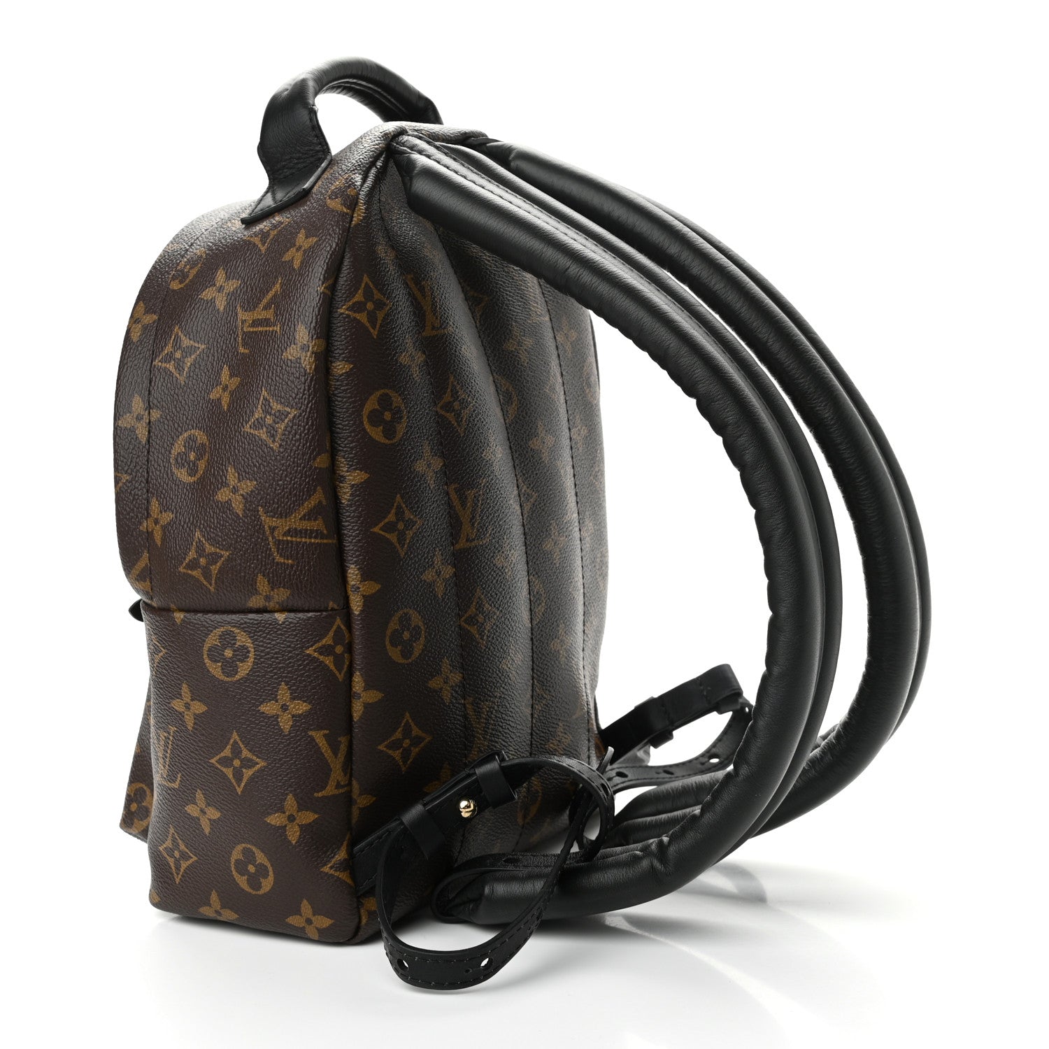 Louis Vuitton Monogram Palm Springs Backpack PM 3 of 9