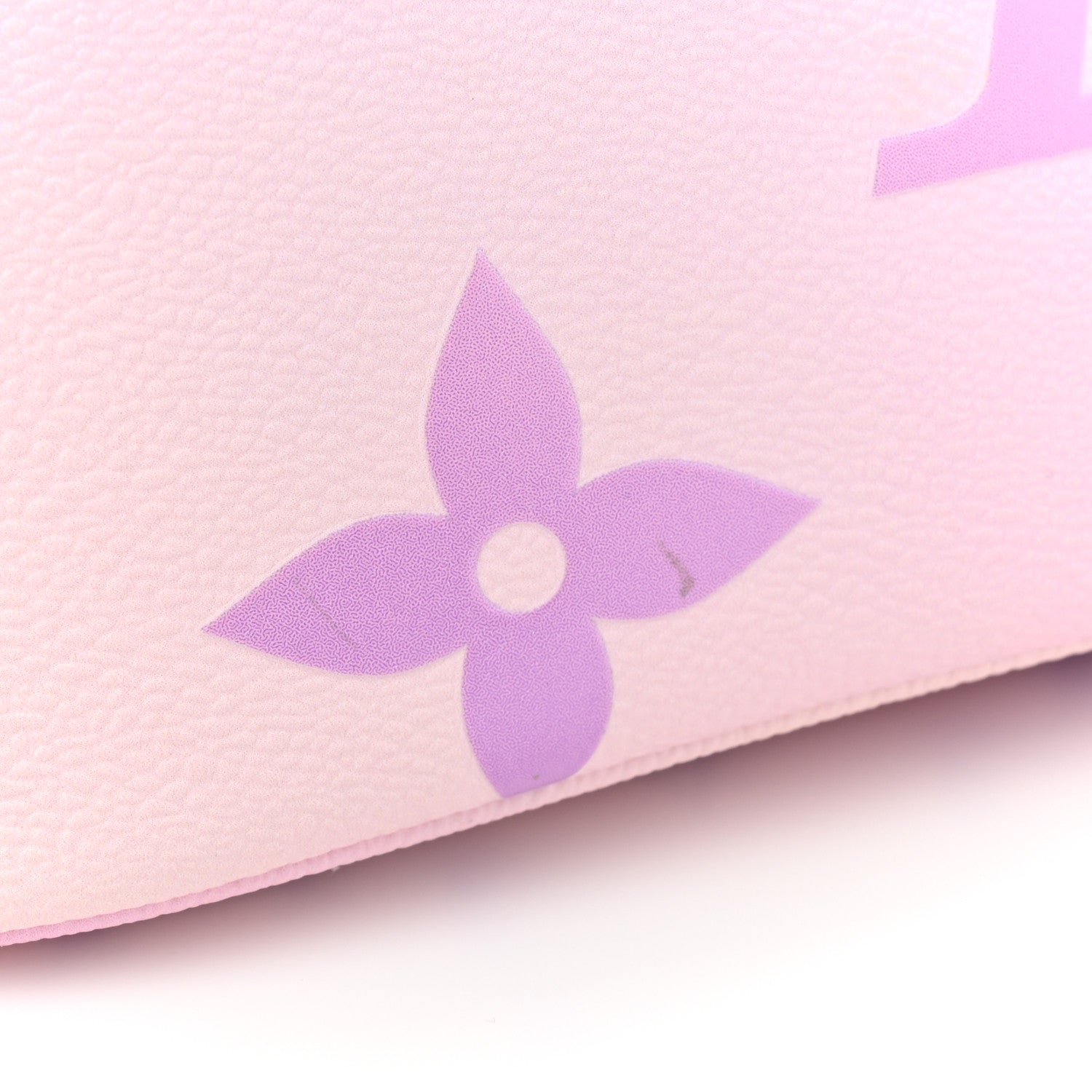 Louis Vuitton Monogram Giant Spring In The City Marshmallow Hobo PM Sunrise Pastel 10 of 12