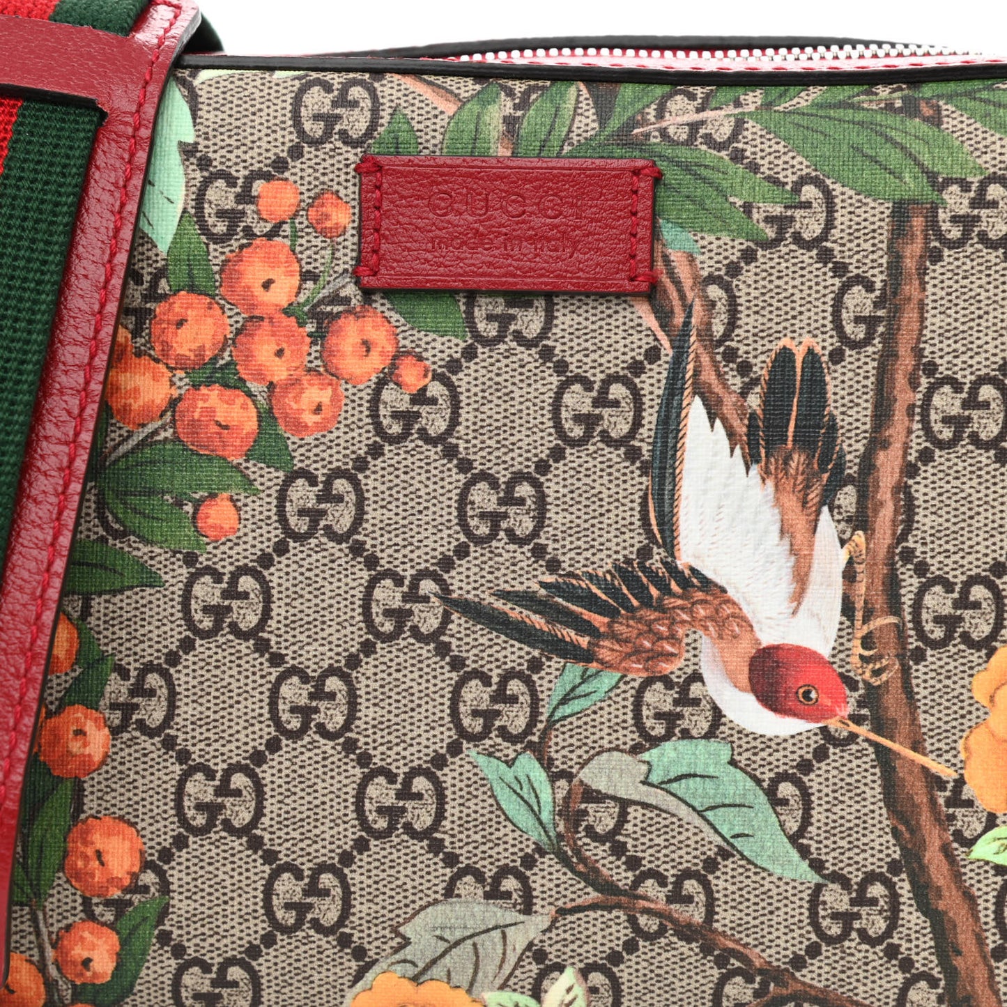 GG Supreme Monogram Tian Web Camera Bag Beige Multicolor Red