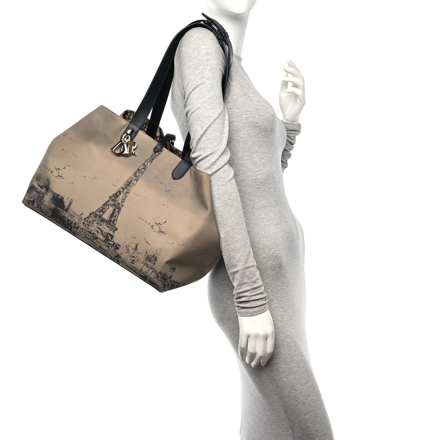 Christian Dior Canvas Large Large Toujours Beige Multicolor 2 of 12