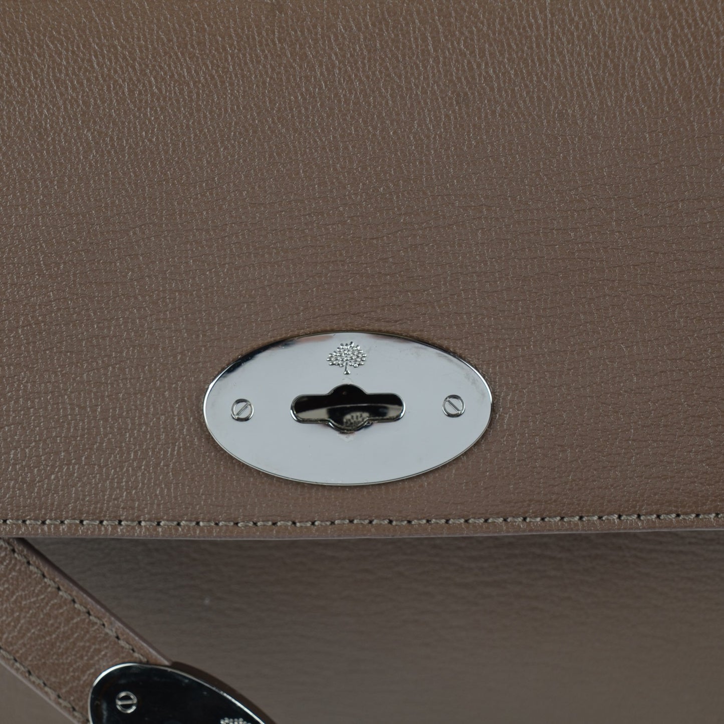 Shiny Goatskin Bayswater Shoulder Bag Taupe