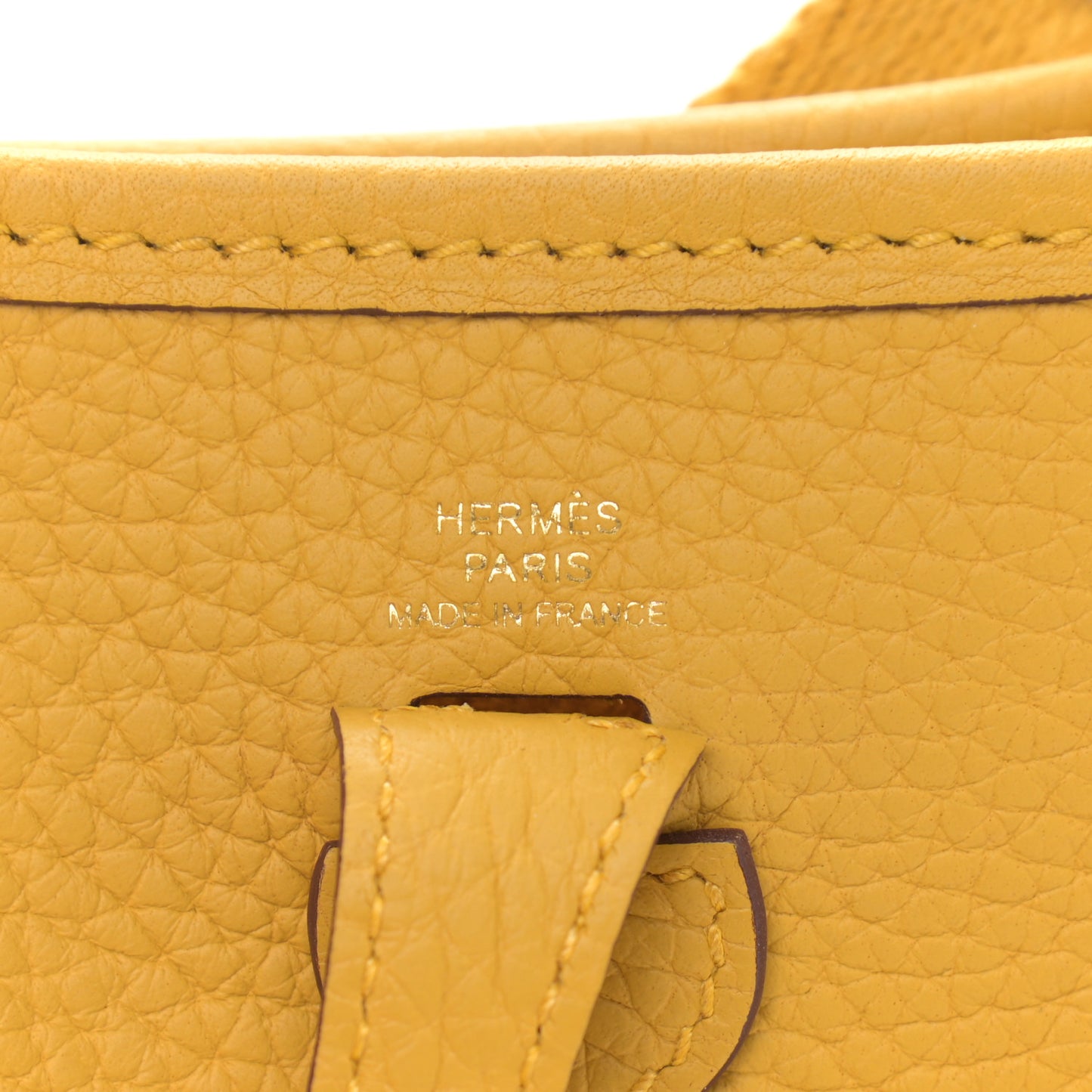 Taurillon Clemence Evelyne TPM Jaune Ambre
