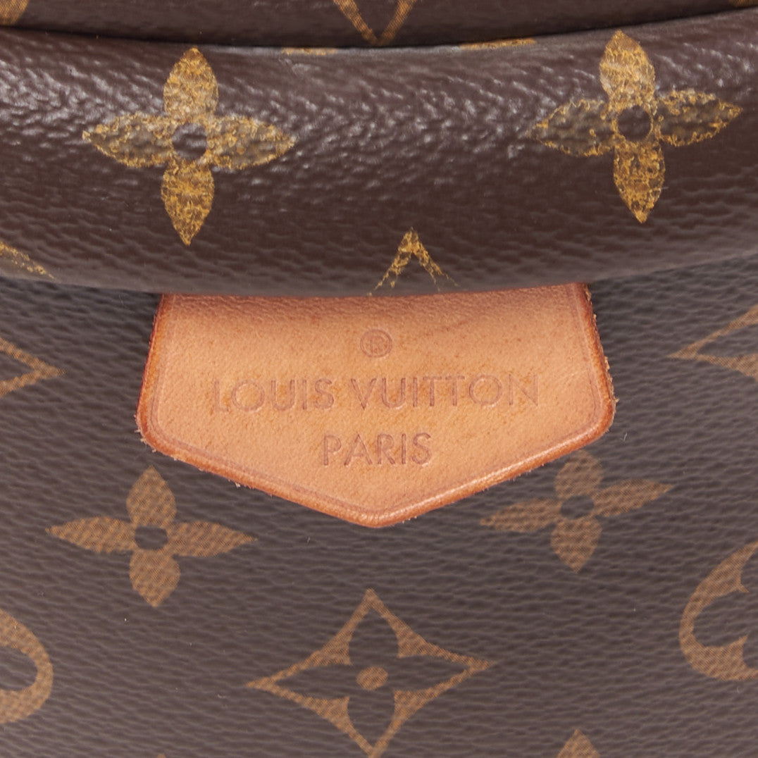 Louis Vuitton Monogram Bumbag 8 of 9