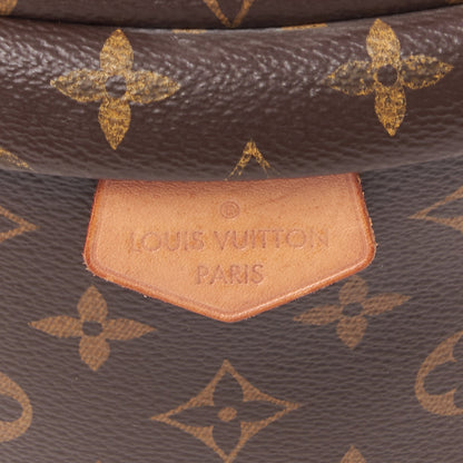 Louis Vuitton Monogram Bumbag 8 of 9