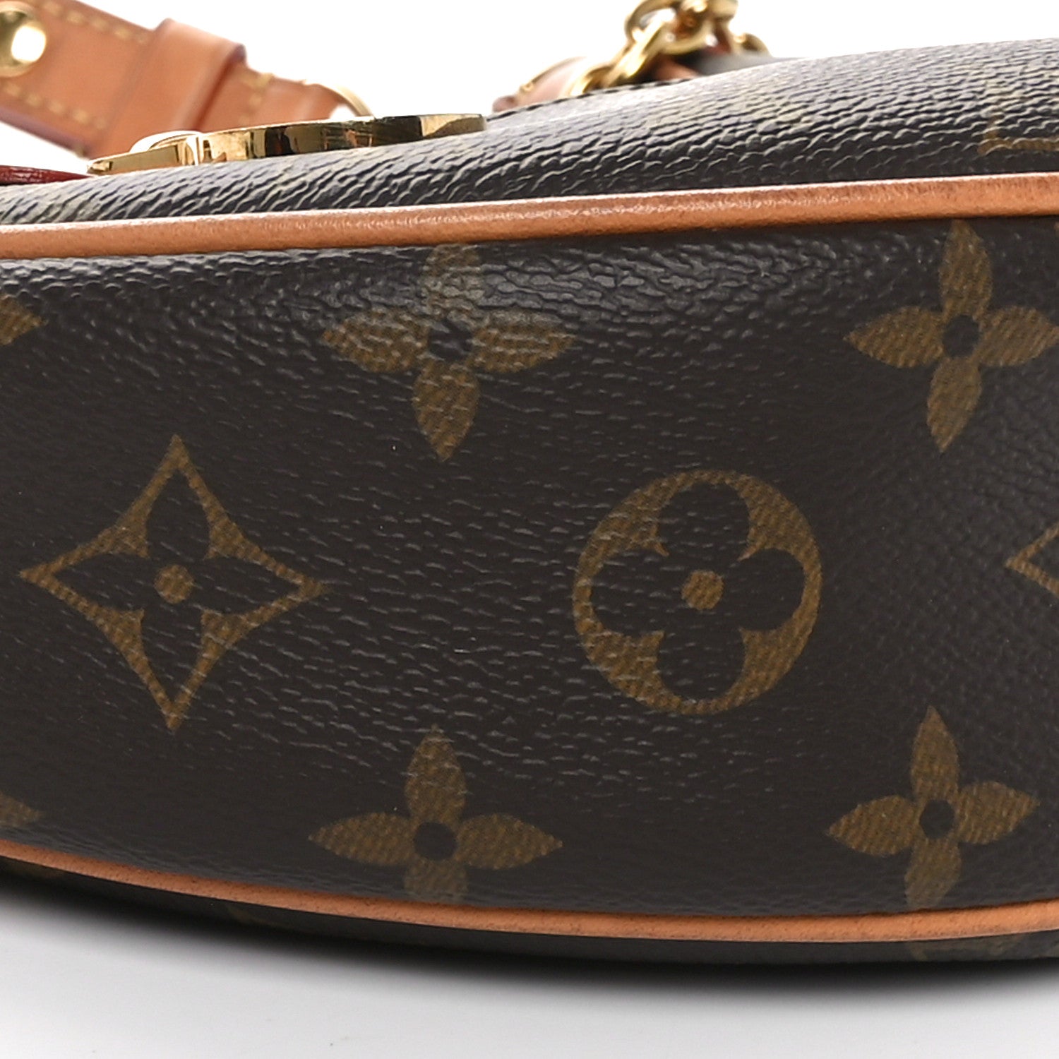 Louis Vuitton Monogram Loop 8 of 9