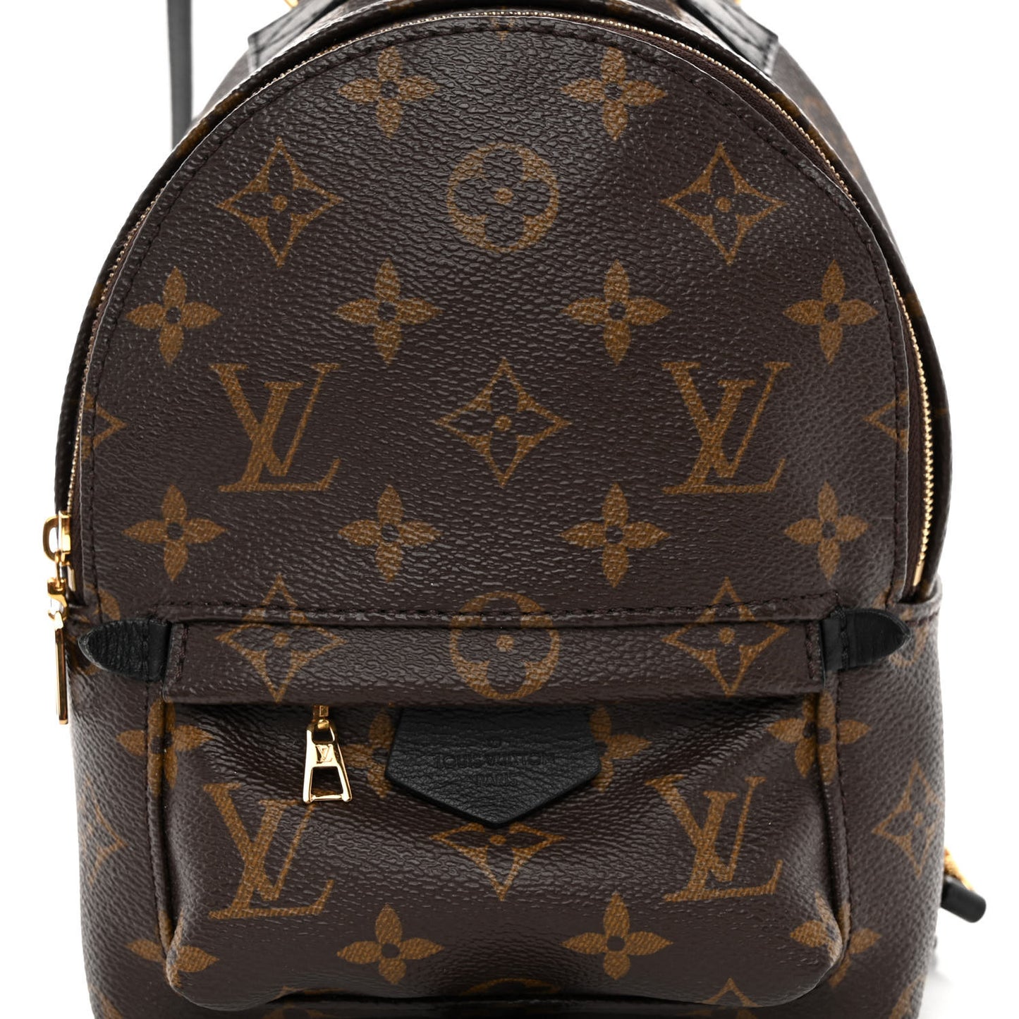 Monogram Palm Springs Backpack Mini