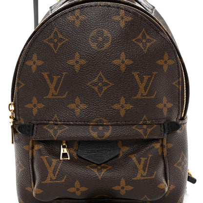 Louis Vuitton Monogram Palm Springs Backpack Mini 7 of 9
