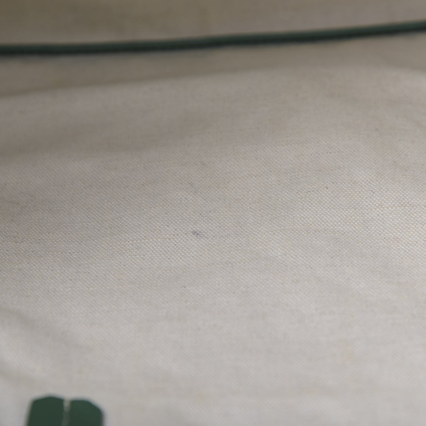 Goyardine Saint Louis PM Green