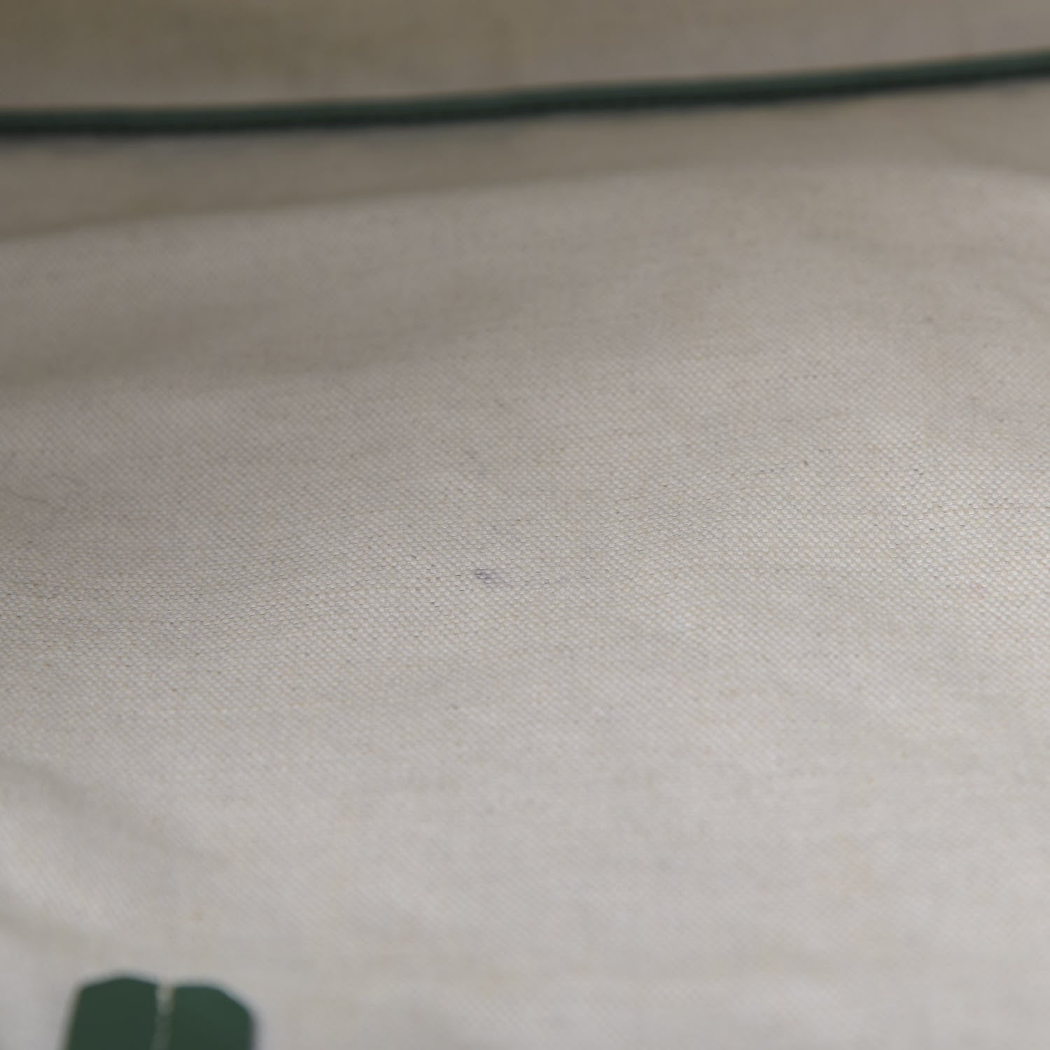 Goyard Goyardine Saint Louis PM Green 9 of 13