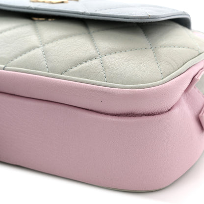 Chanel Goatskin Quilted Waist Bag Green Blue Pink 11 of 13