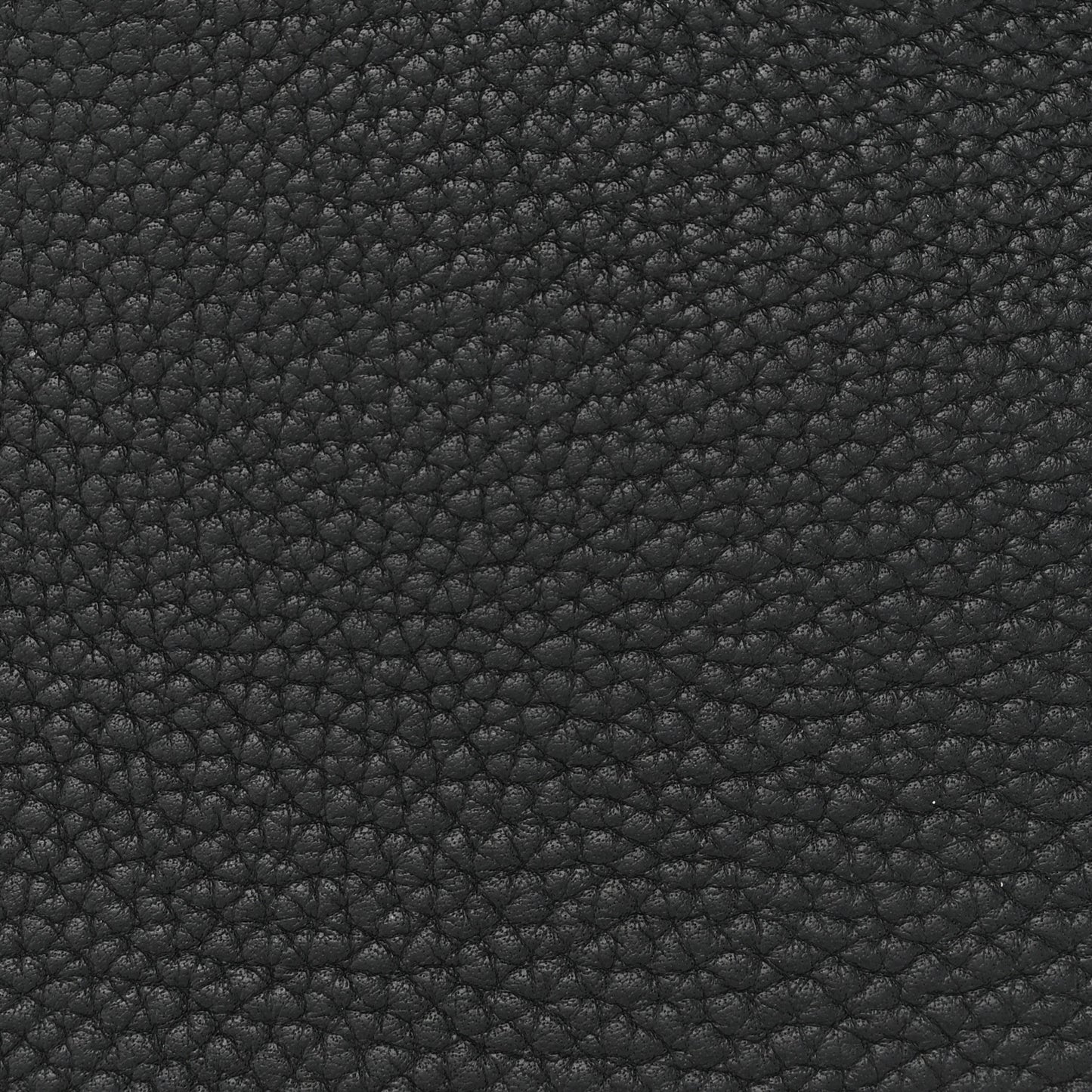 Taurillon Clemence Jypsiere 31 Black