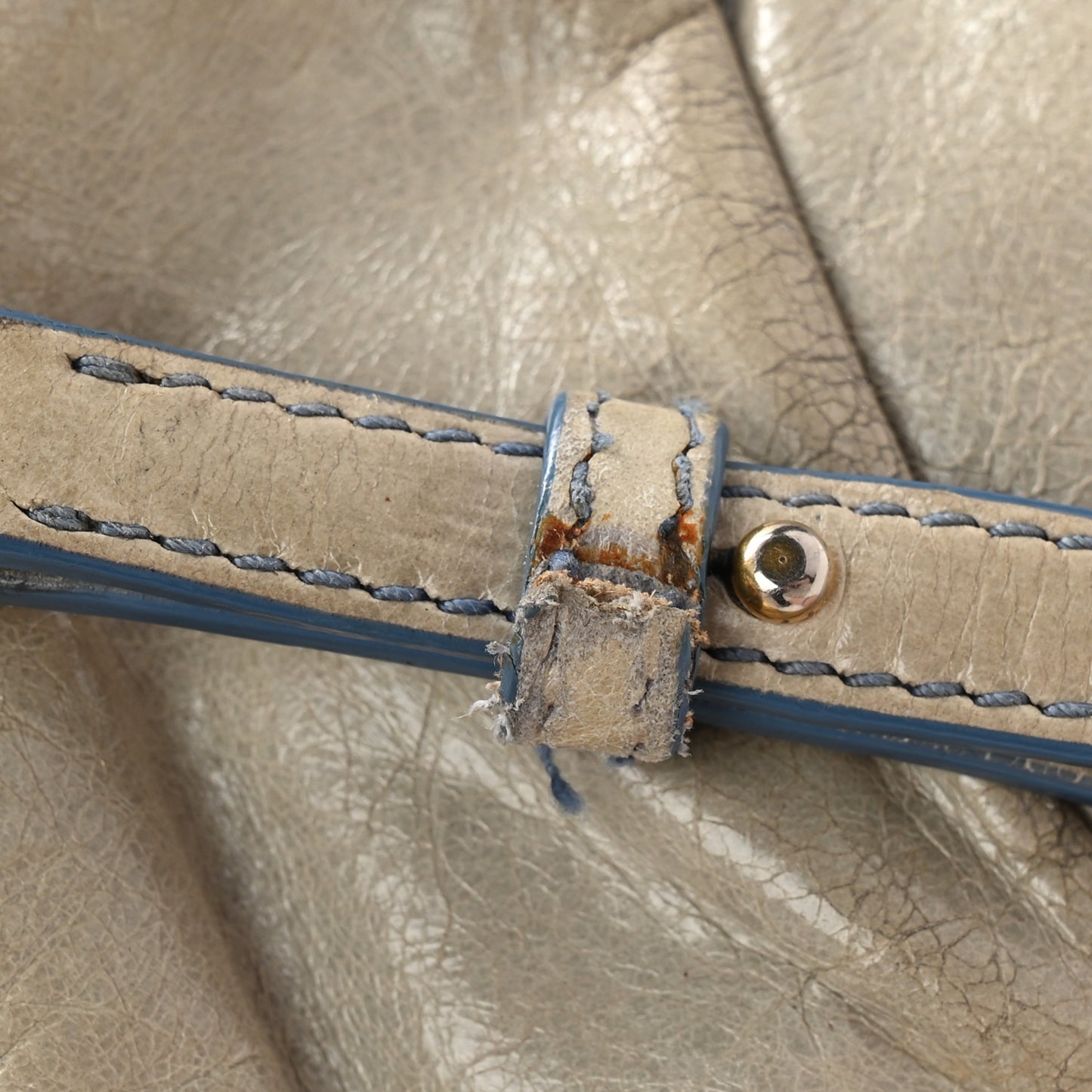 Vitello Shine Contenitori Tracolla Crossbody Clutch Green