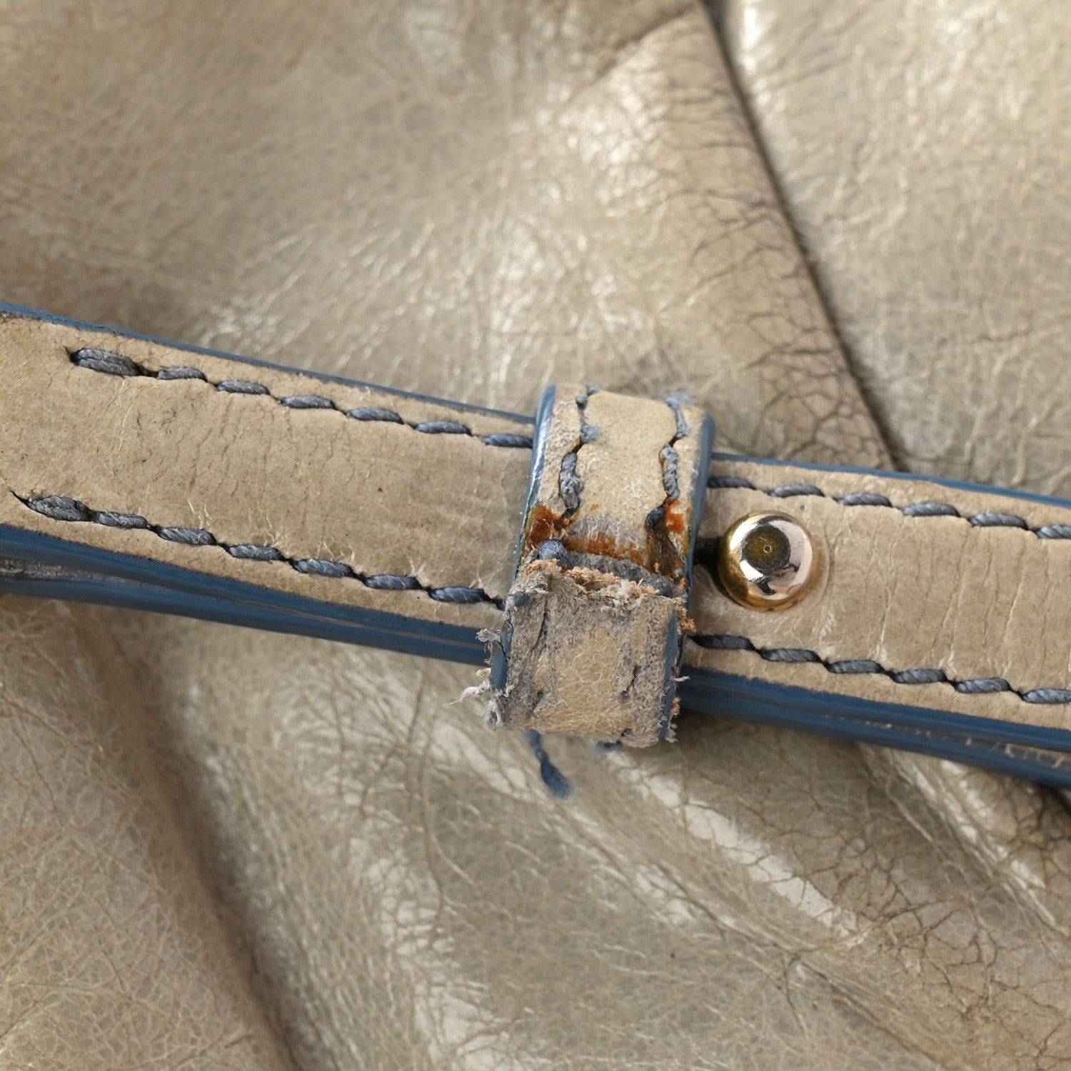 Miu Miu Vitello Shine Contenitori Tracolla Crossbody Clutch Green 12 of 13