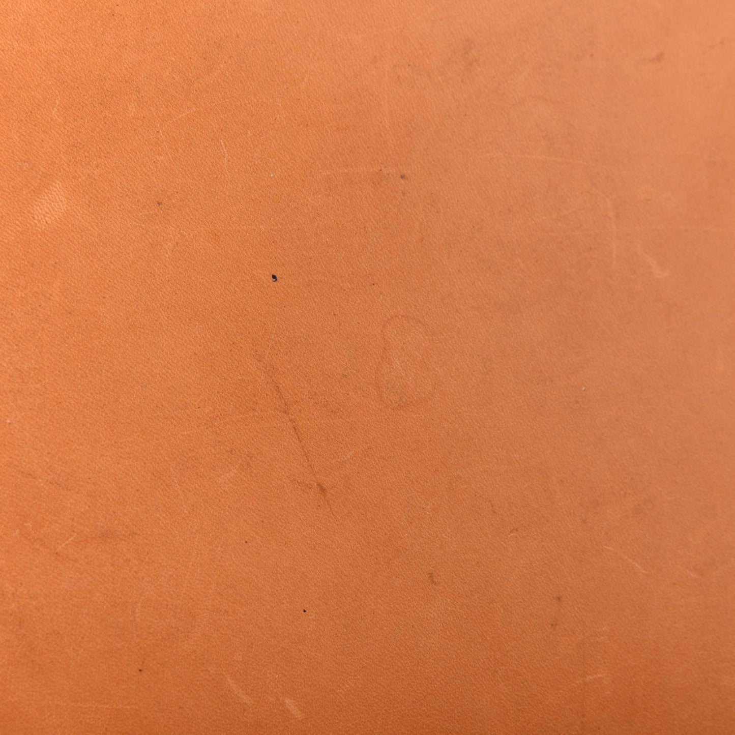 Monogram Noe