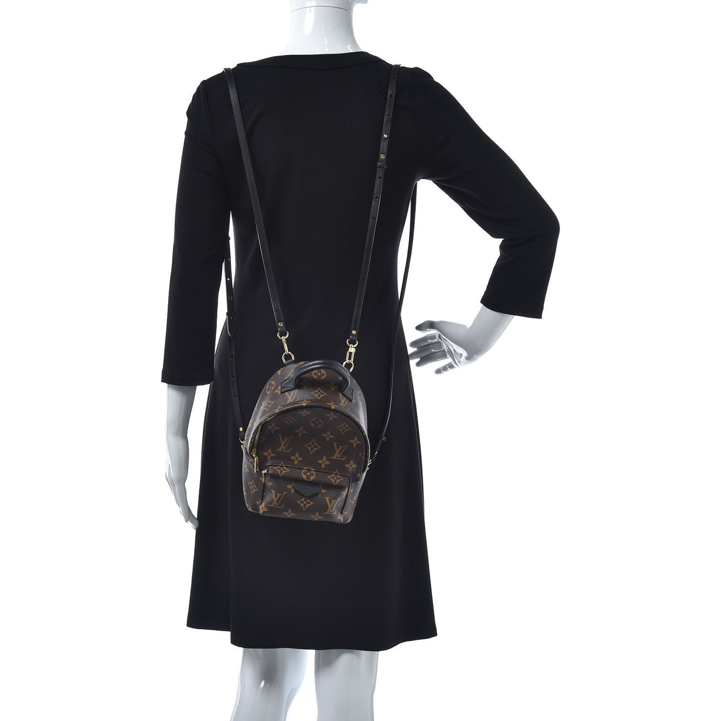 Monogram Palm Springs Backpack Mini