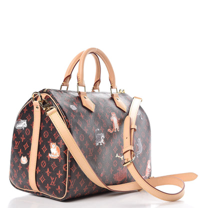 Louis Vuitton Catogram Speedy Bandouliere 30 Marron 4 of 10