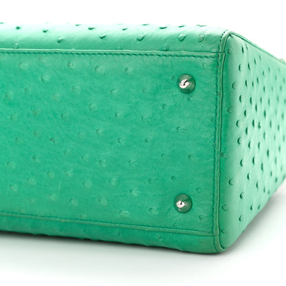 Christian Dior Ostrich Medium Lady Dior Green 10 of 11