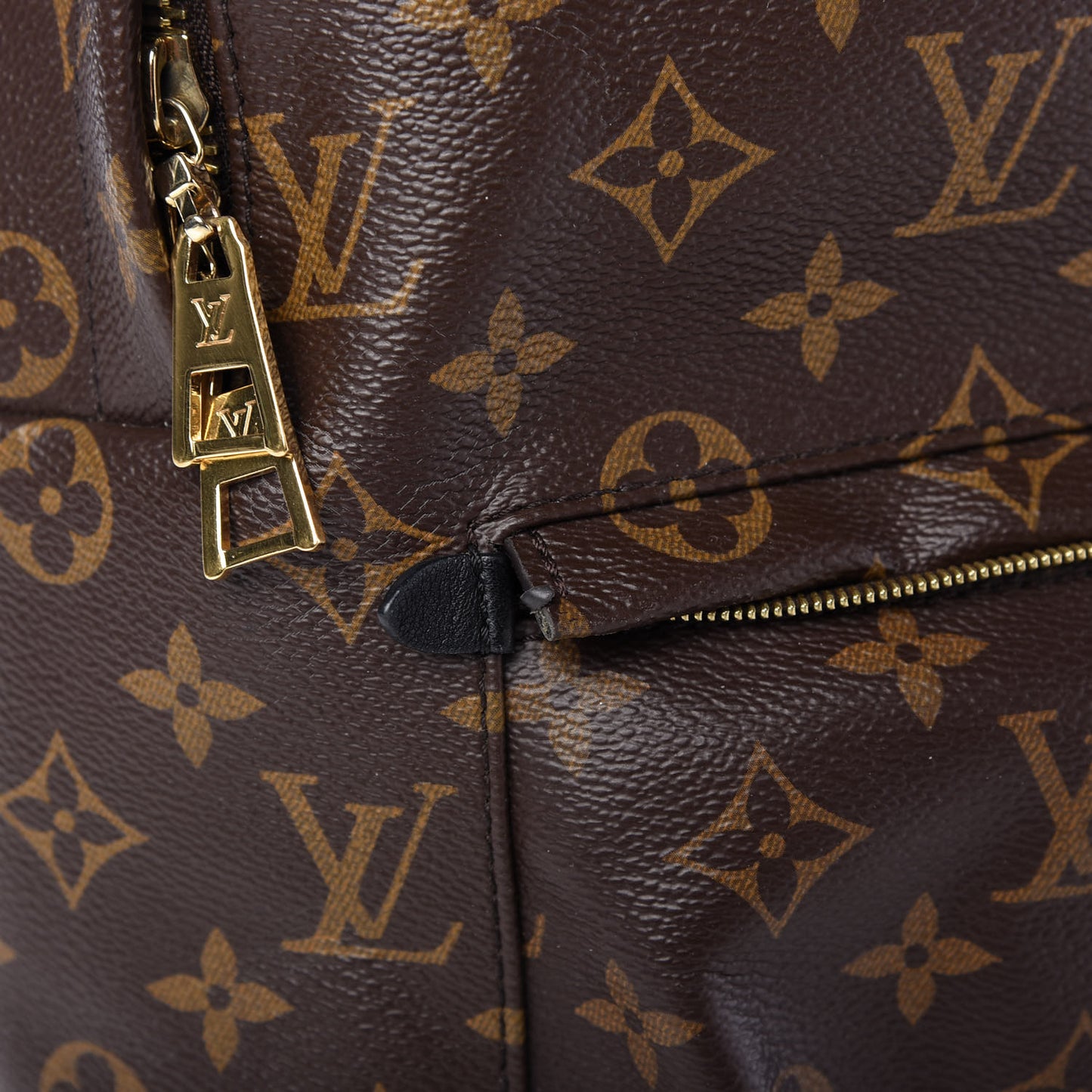 Monogram Palm Springs Backpack MM