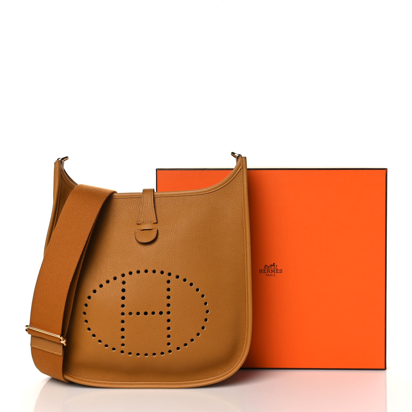 Taurillon Clemence Evelyne III PM Sesame