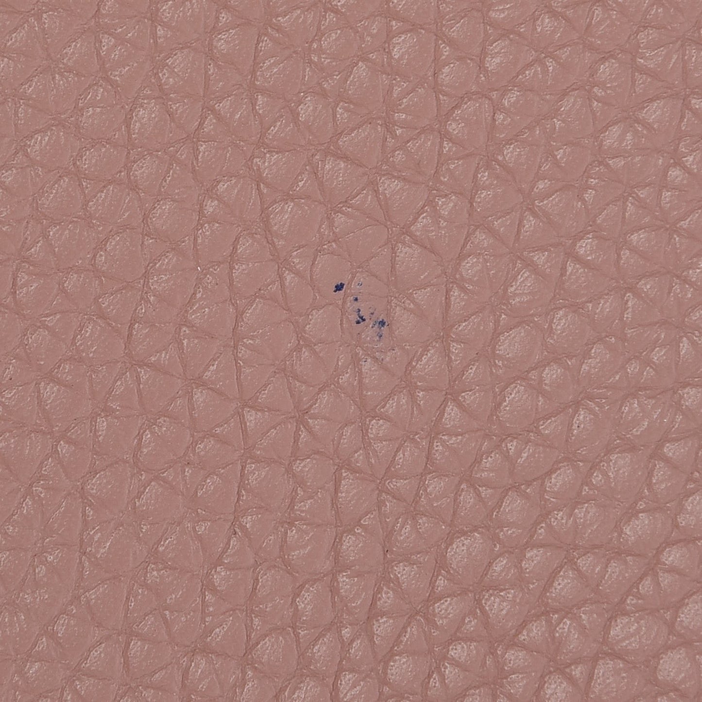Taurillon Volta Magnolia