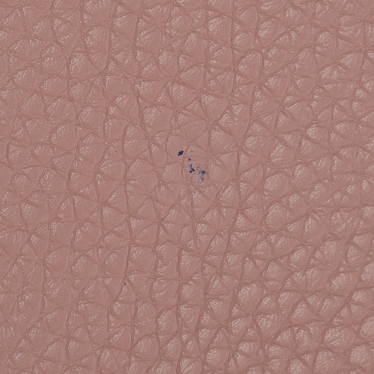 Louis Vuitton Taurillon Volta Magnolia 9 of 14