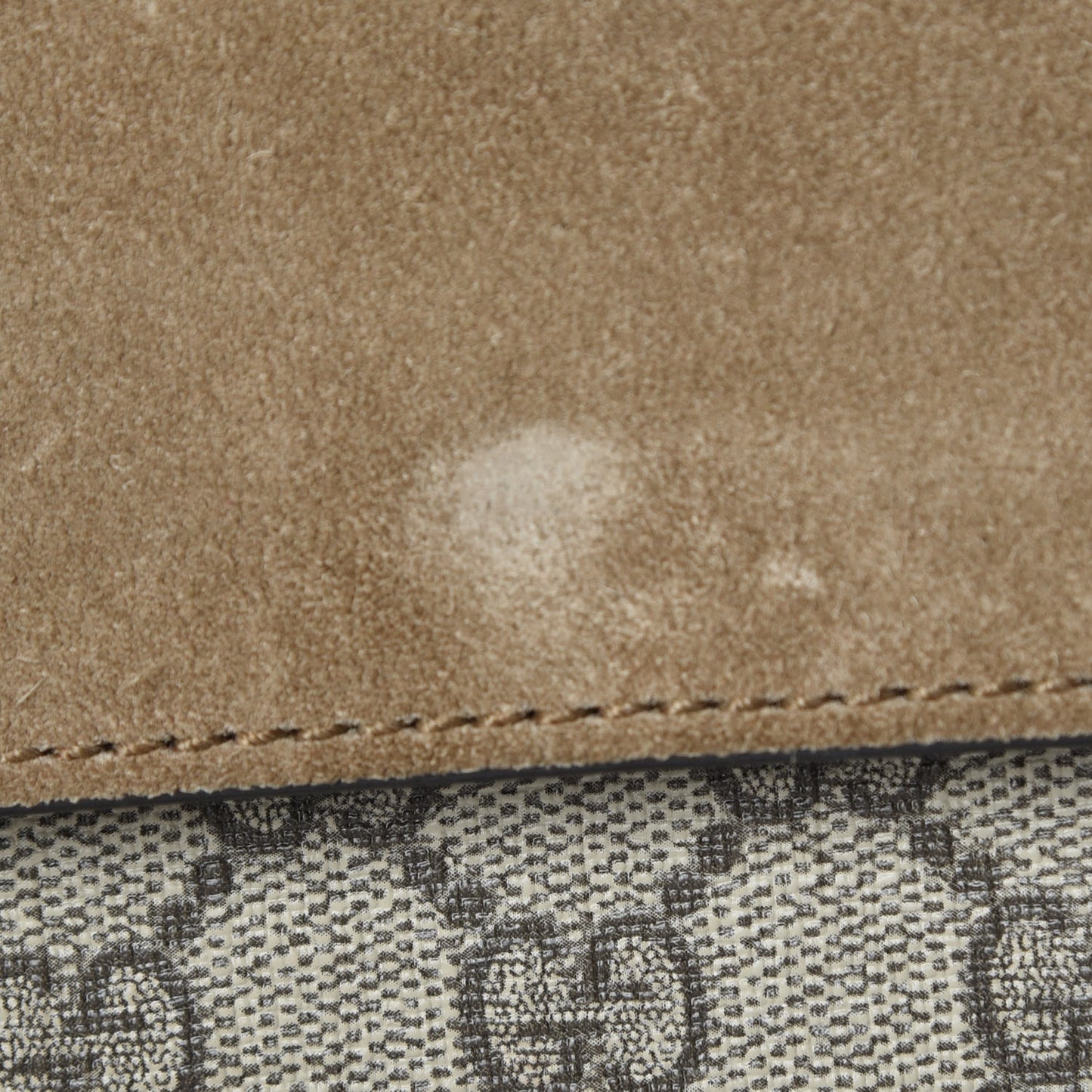 GG Supreme Monogram Bee Embroidered Medium Dionysus Shoulder Bag Taupe