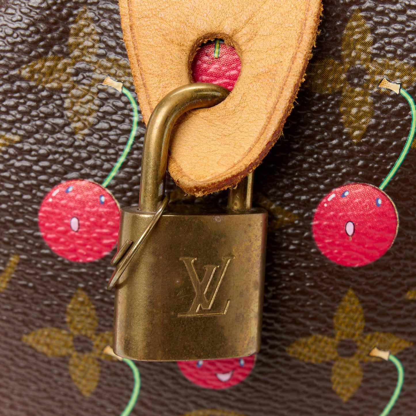 Monogram Cerises Speedy 25