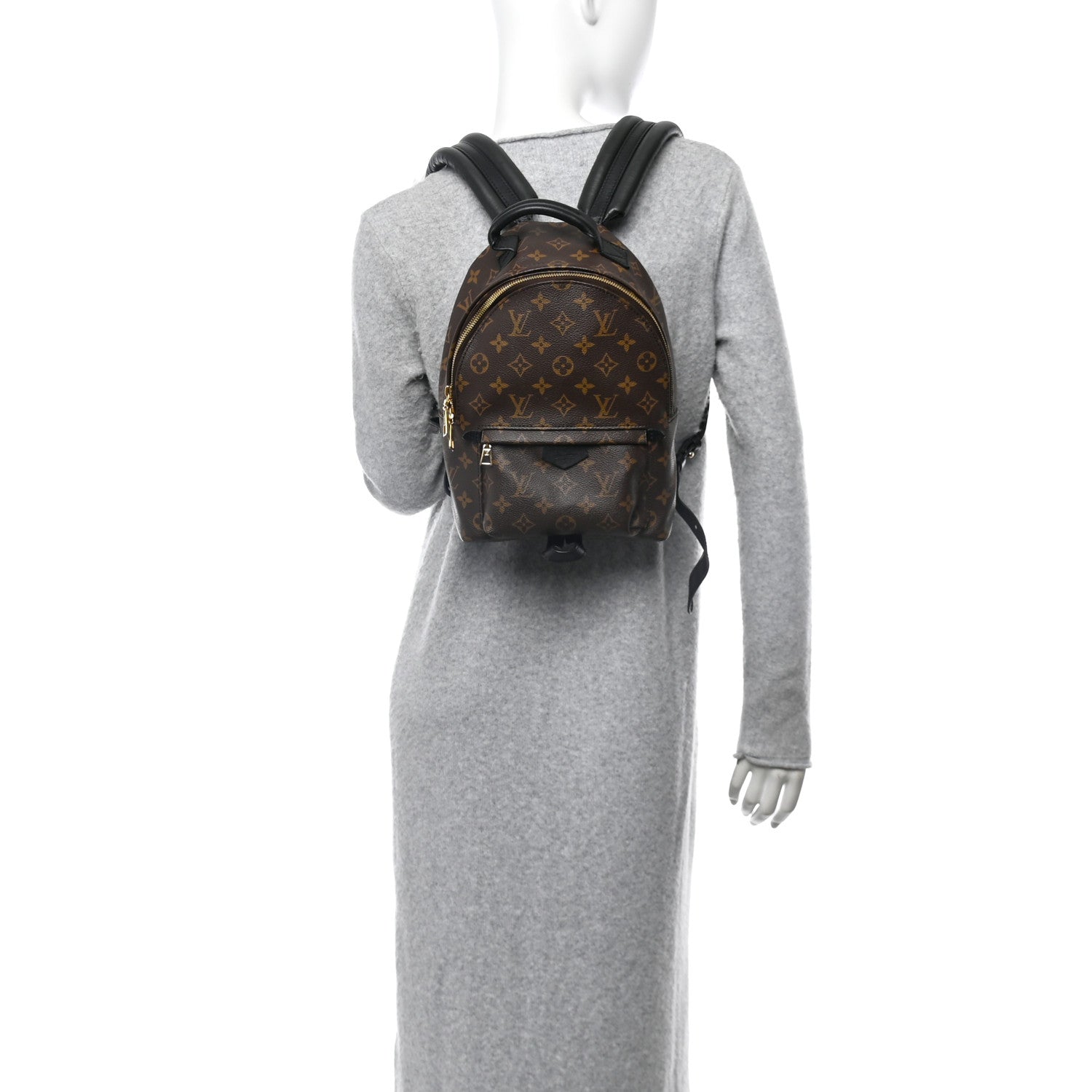 Louis Vuitton Monogram Palm Springs Backpack PM 2 of 14