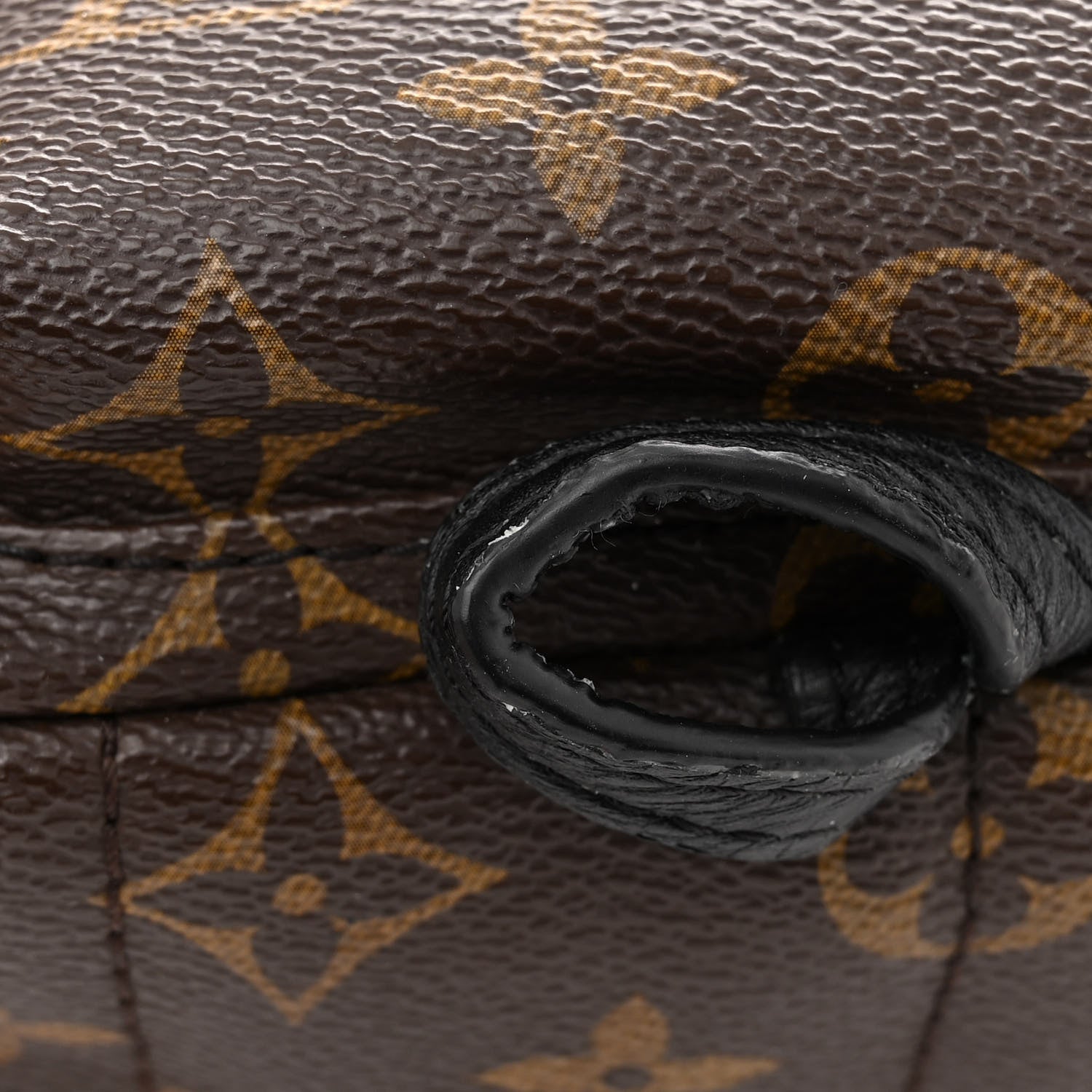Louis Vuitton Monogram World Tour Palm Springs Backpack Mini 12 of 15