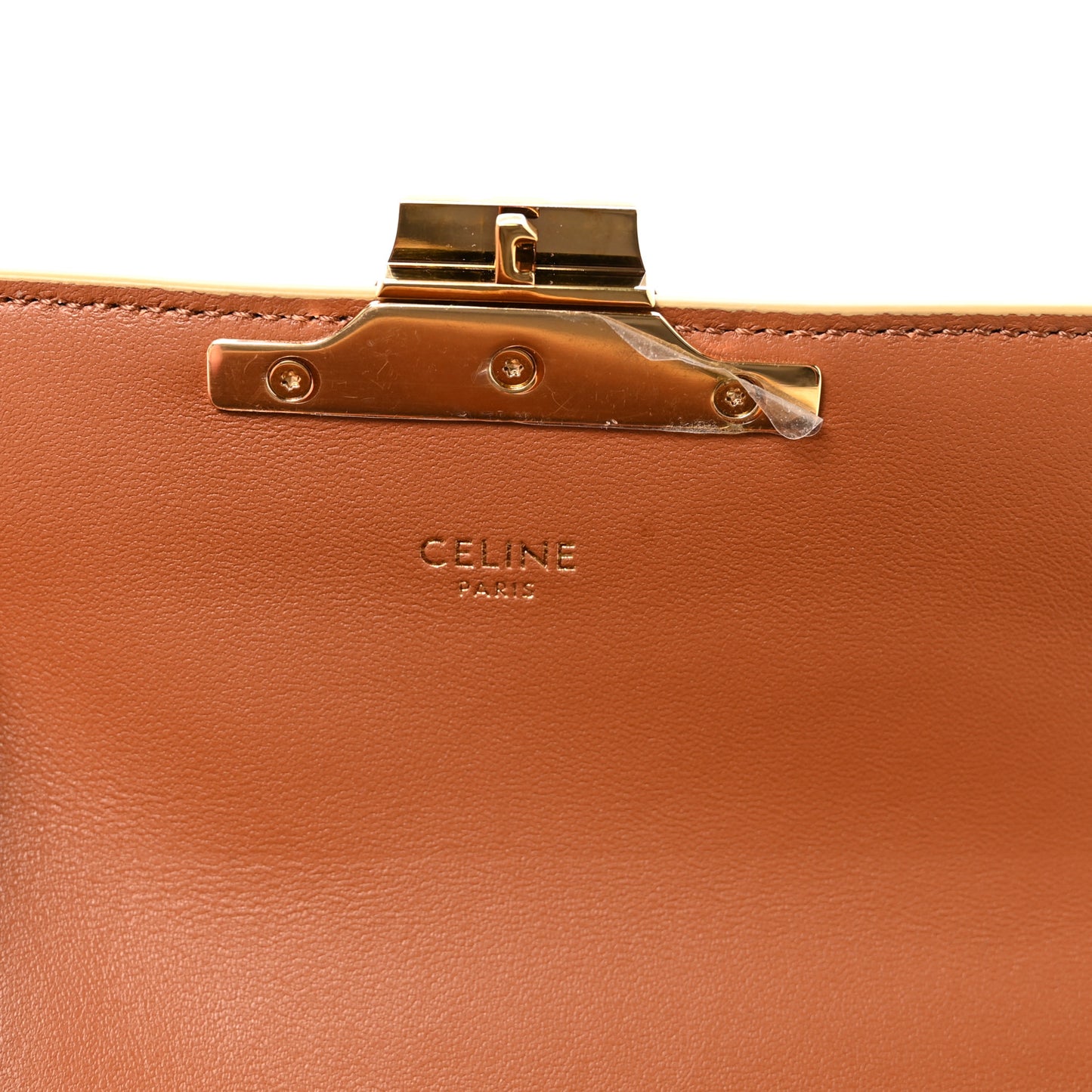 Canvas Leopard Print Triomphe Chain Shoulder Bag