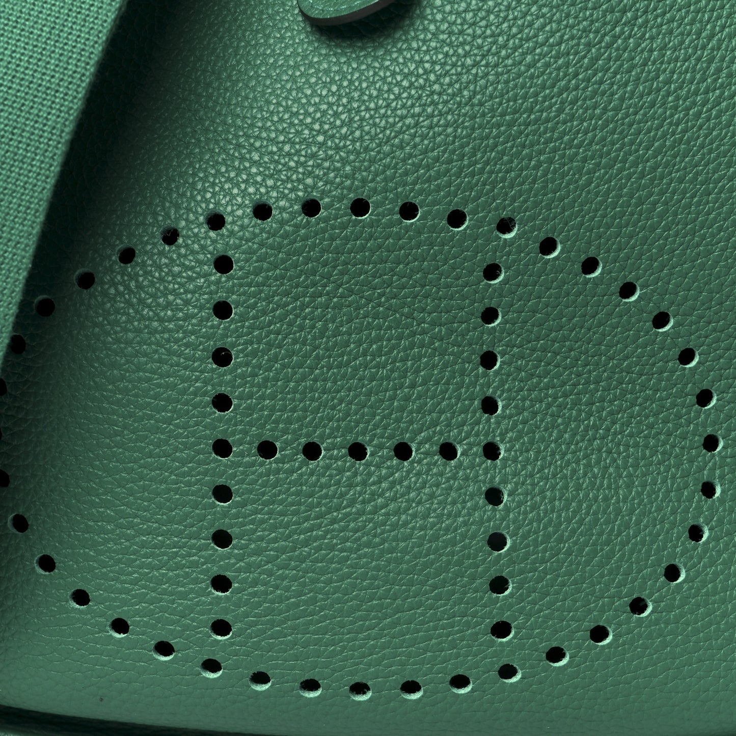 Taurillon Clemence EVELYNE III PM Malachite