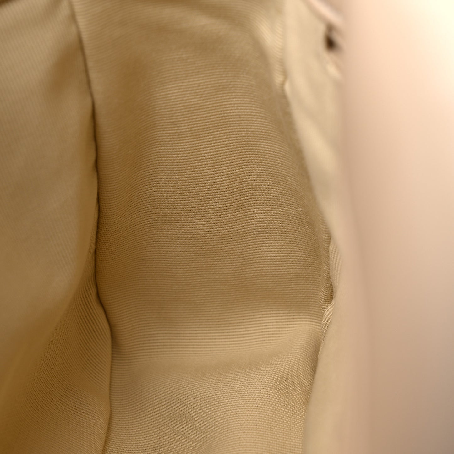 Lambskin Quilted Medium Chanel 19 Flap Light Beige