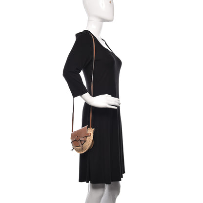 Loewe Calfskin Raffia Mini Gate Crossbody Bag Natural Tan 2 of 13